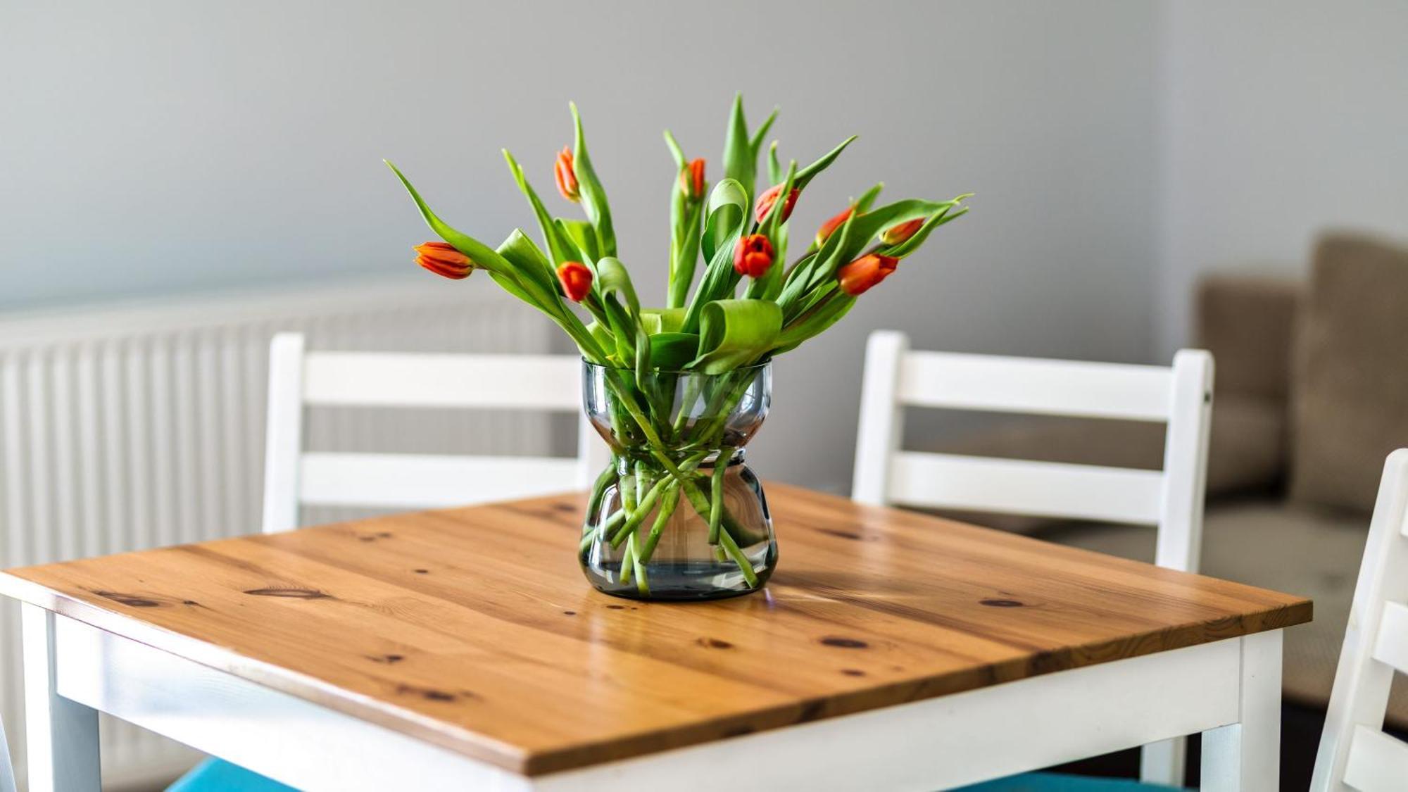 Morskie Apartamenty Przy Plazy Piamola Krynica Morska Dış mekan fotoğraf